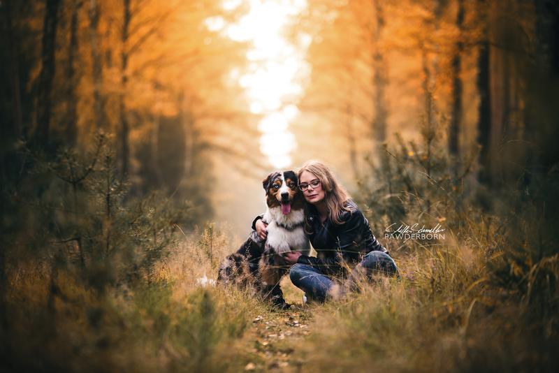 Mensch und Tier, Hundefotografie im Herbst: eine Frau mit ihrem Austrailian-Shepherd Rüden sitzt auf einem Waldweg in Paderborn / Senne vor den herbstlich gelb gefärbten Blättern der Bäume