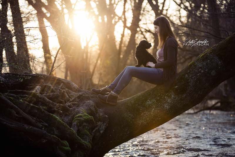 Bild aus einem Fotoshooting: Mädchen mit kleinem schwarzen Hund auf dem Schoß sitzt auf einem Baumstamm über einem Fluss in Paderborn vor der untergehenden Sonne
